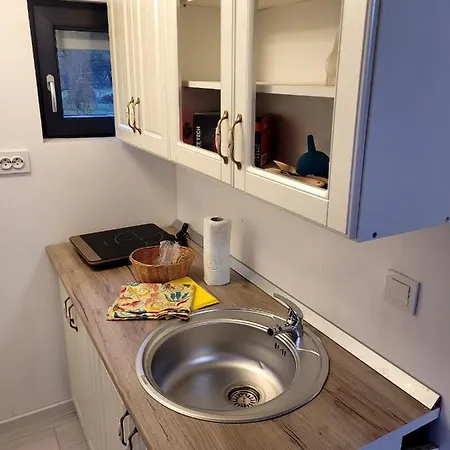 Casa Transylvania Cu Hot Tub Holiday home
