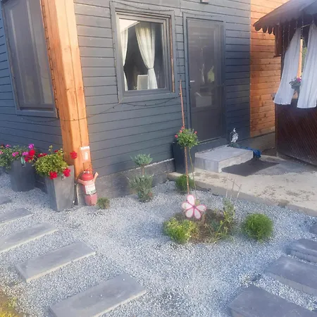 Casa Transylvania Cu Hot Tub * Lupsa