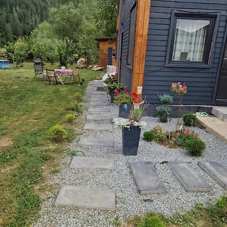 Casa Transylvania Cu Hot Tub Holiday home *