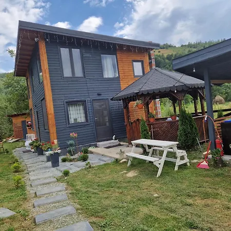 Casa Transylvania Cu Hot Tub Holiday home Lupsa